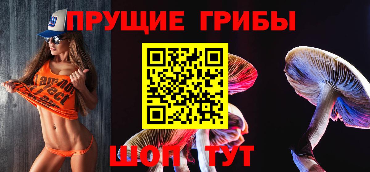 Краснокаменск  Псилоцибиновые грибы Psilocybe  Вход с VPN 